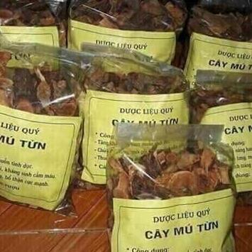 cây mú từn 1kg tráng dương bổ thận