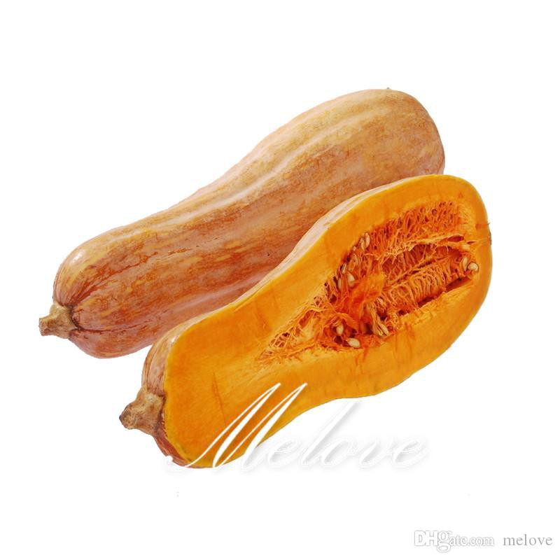 Hạt giống Bí Đỏ Dài ( Bí Sáp) PhuNongSeeds - 10g