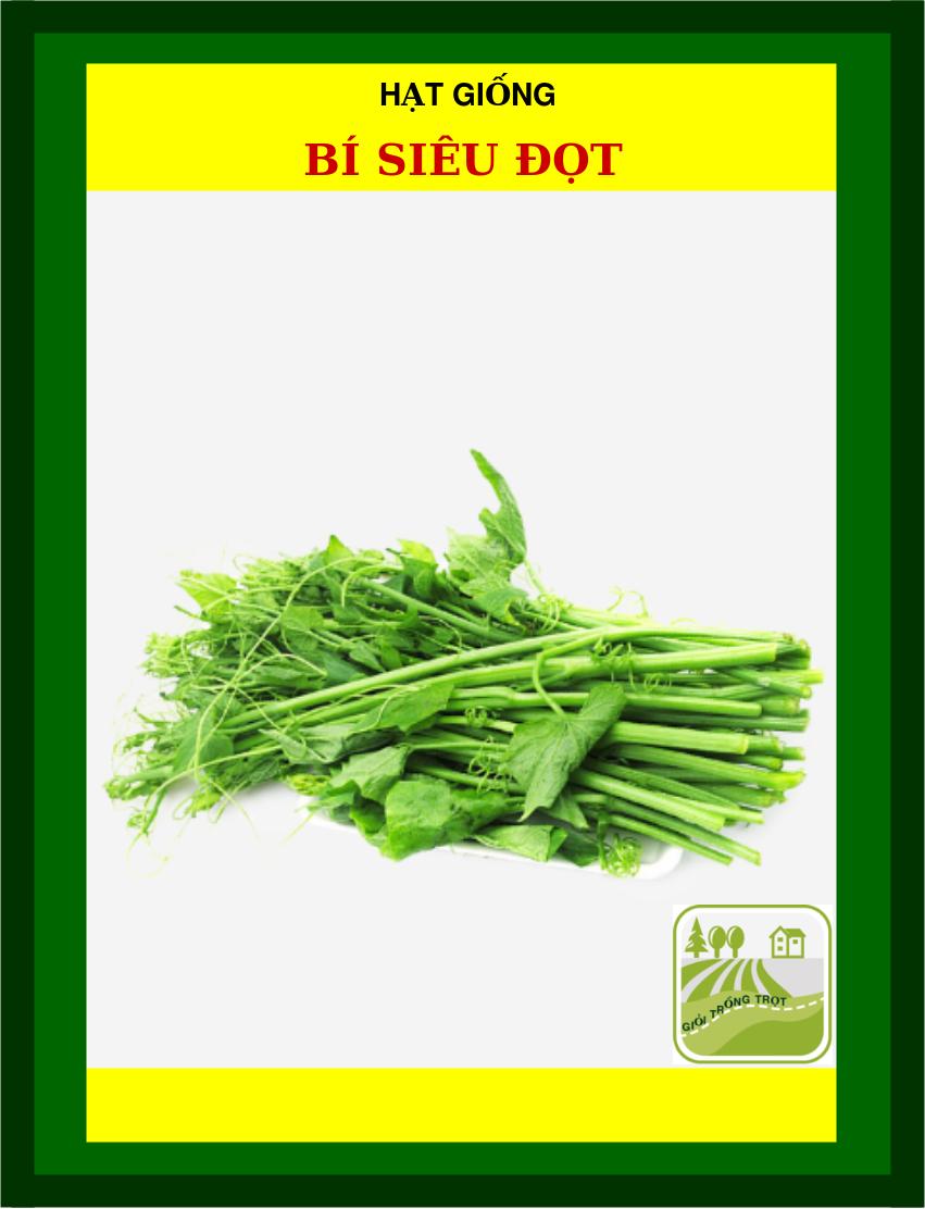 5Gram Hạt Giống Bí Siêu Đọt