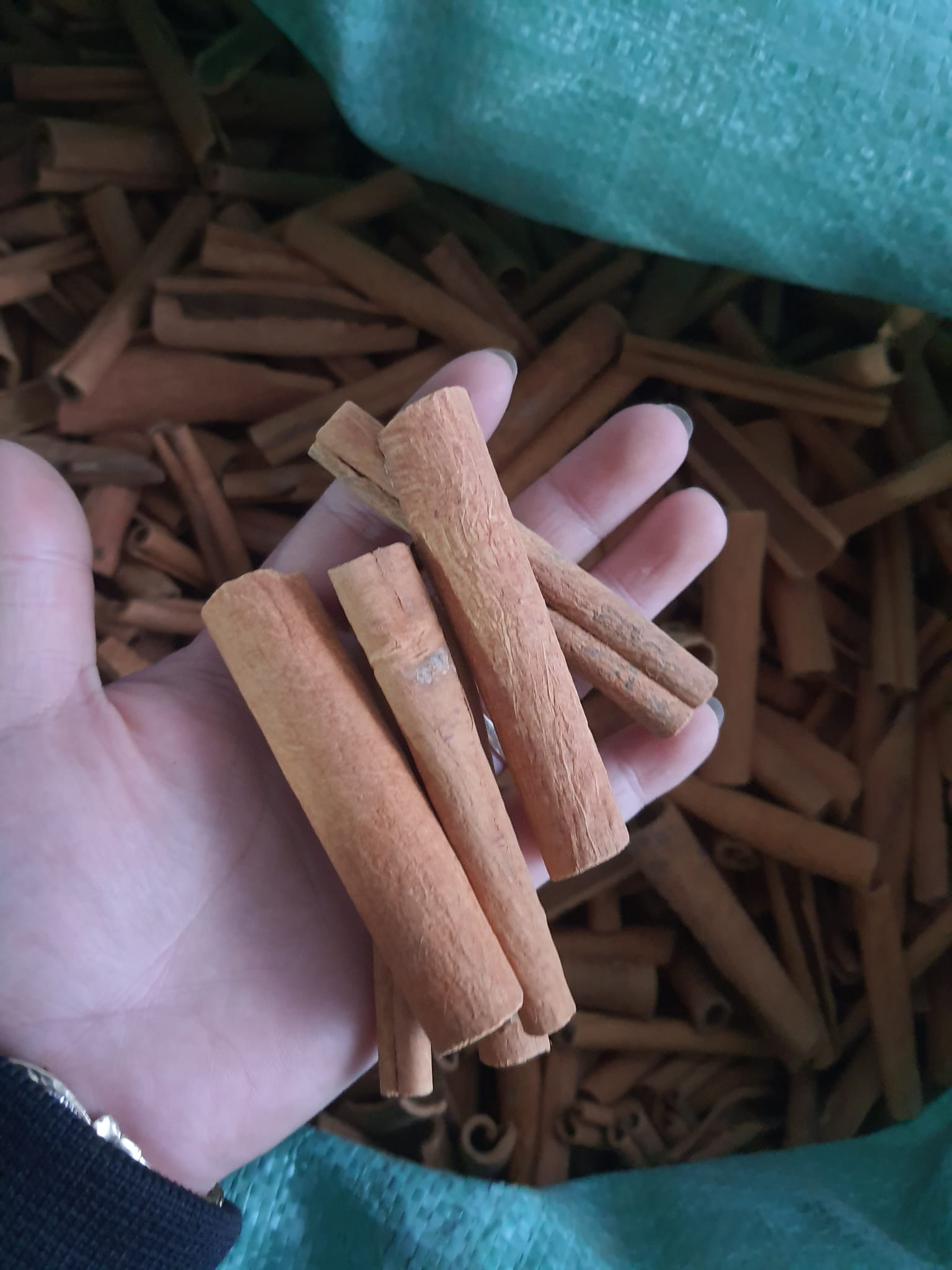 1kg quế cạo vỏ -  Trà quế