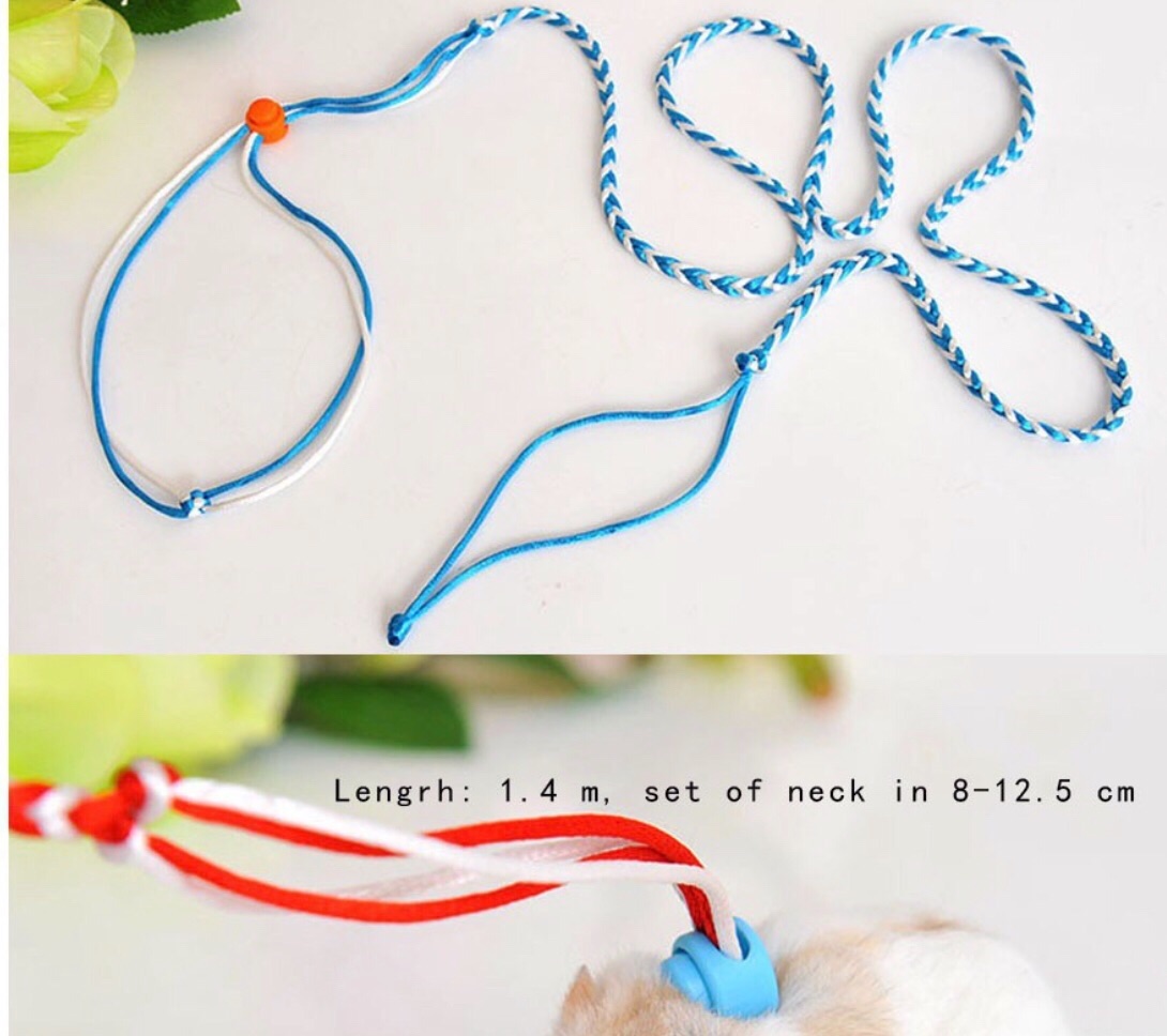 ✅[Có Quà Tặng]Dây dắt Hamster / sóc / nhím / bọ ú (nhỏ)