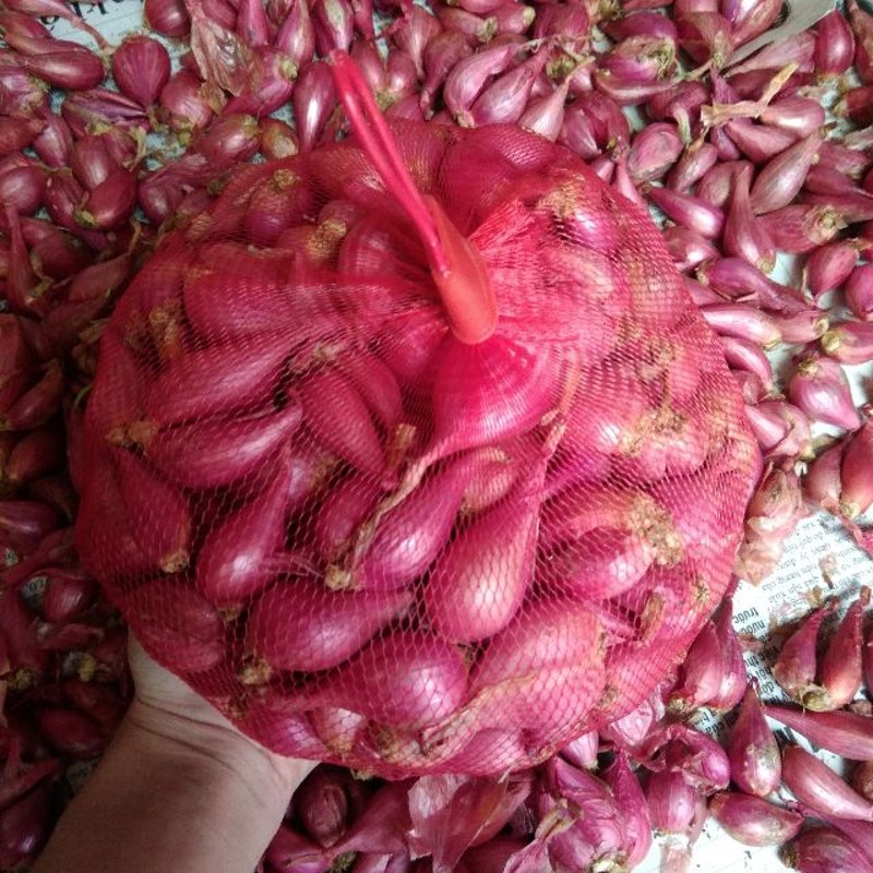 [Chính gốc] Loại 1 Hành tím Lý Sơn - 1kg