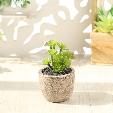 Cây giả - Chậu Sen đá Xơ dừa (cả cây và chậu)