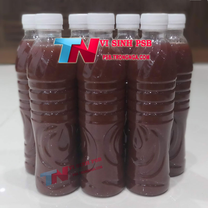 [COMBO 2 chai Vi sinh PSB 500ml] làm trong nước nuôi cá - Vi khuẩn quang hợp