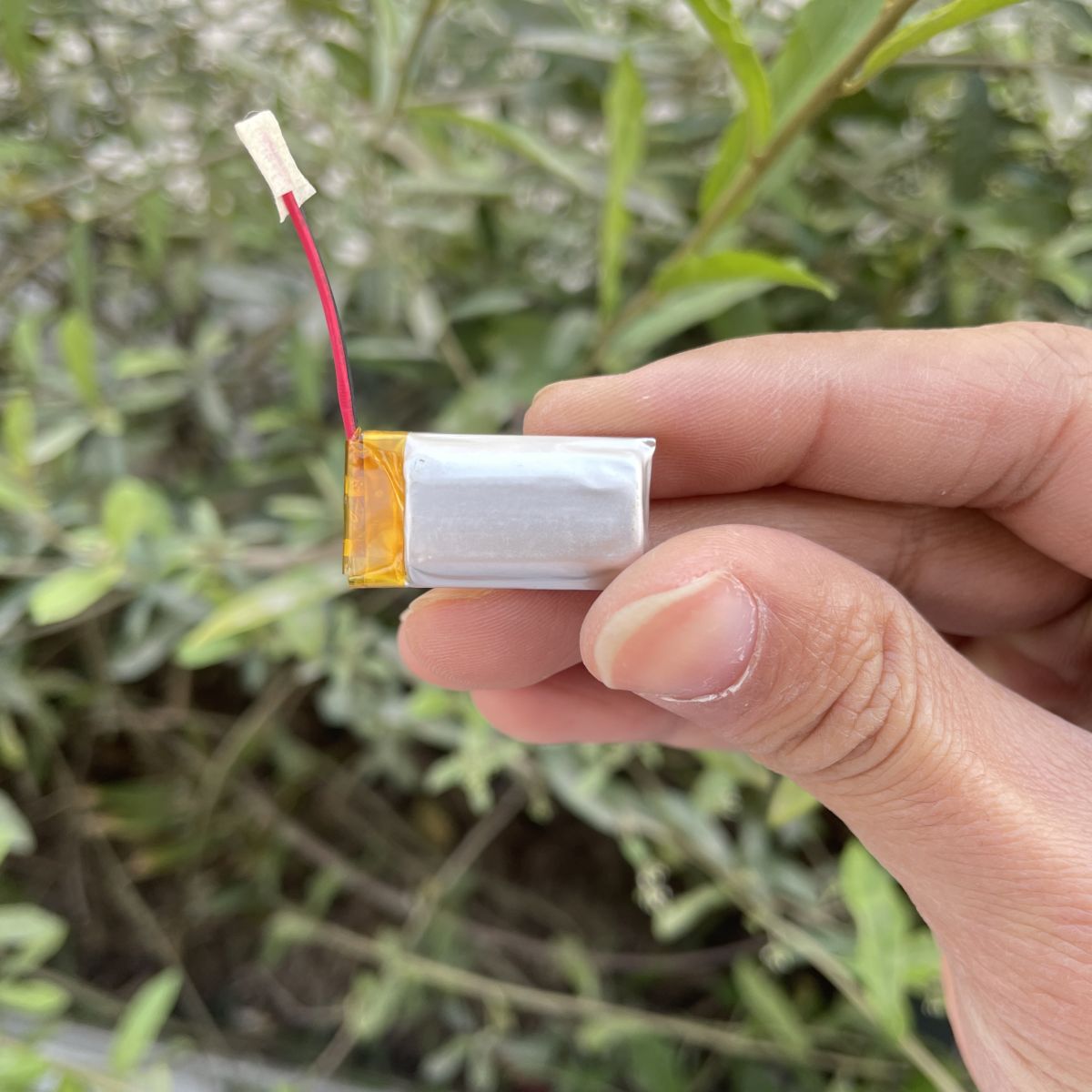 Pin lipo 1s 3.7v 300mah 901425