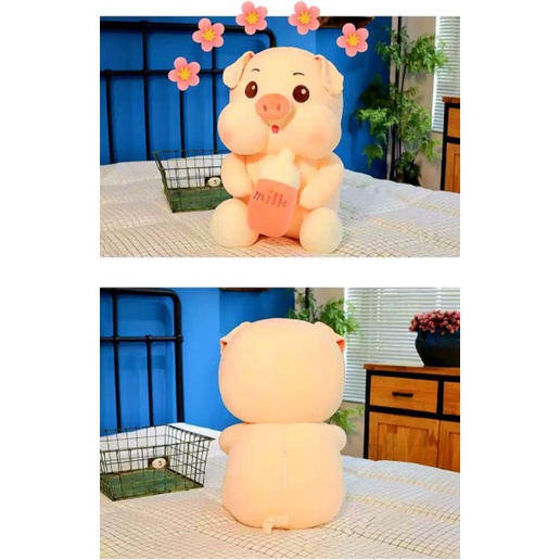 Gấu bông to Heo Lợn ôm