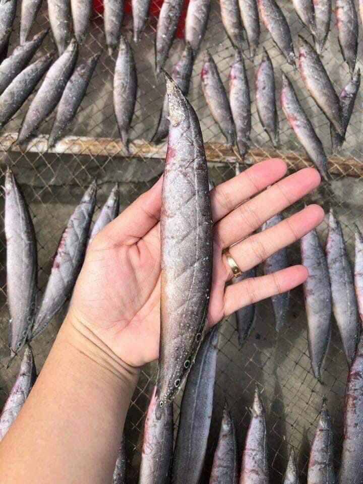 Khô cá chạch đồng 500g