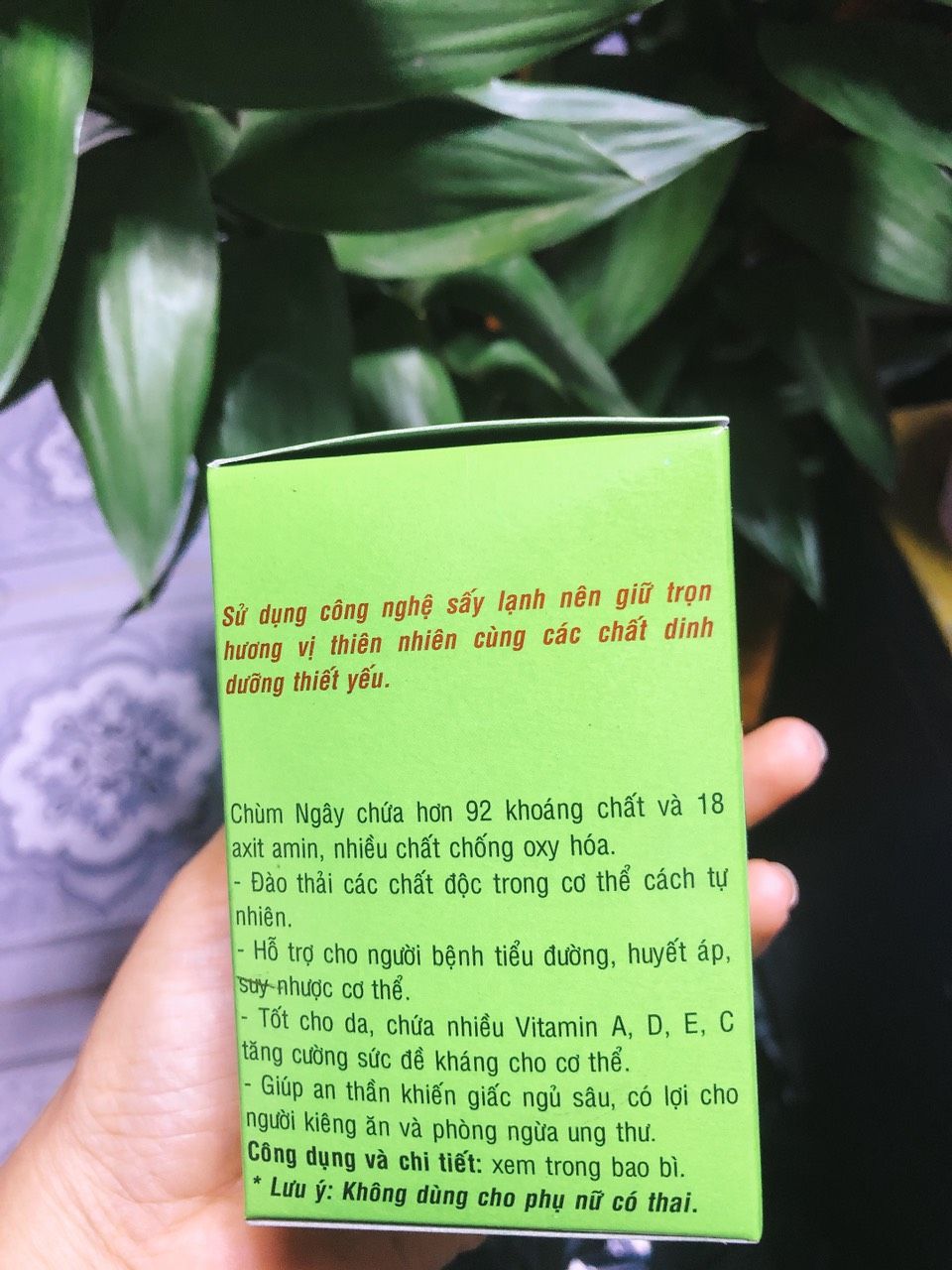 Trà túi lọc chùm ngây moringa ( 1 hộp 20 túi )