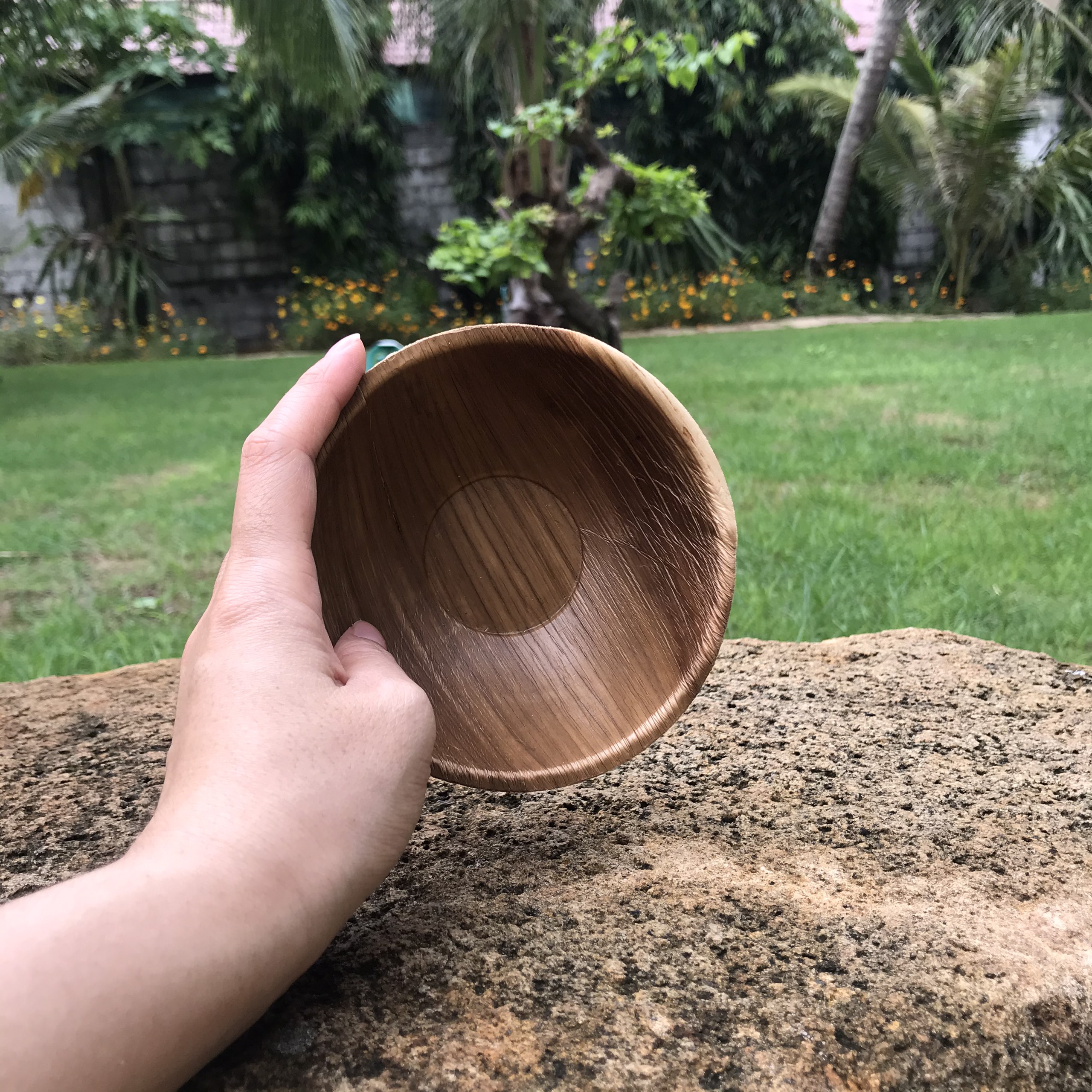 COMBO TIỆN LỢI : CHÉN DĨA MO CAU ĐẸP