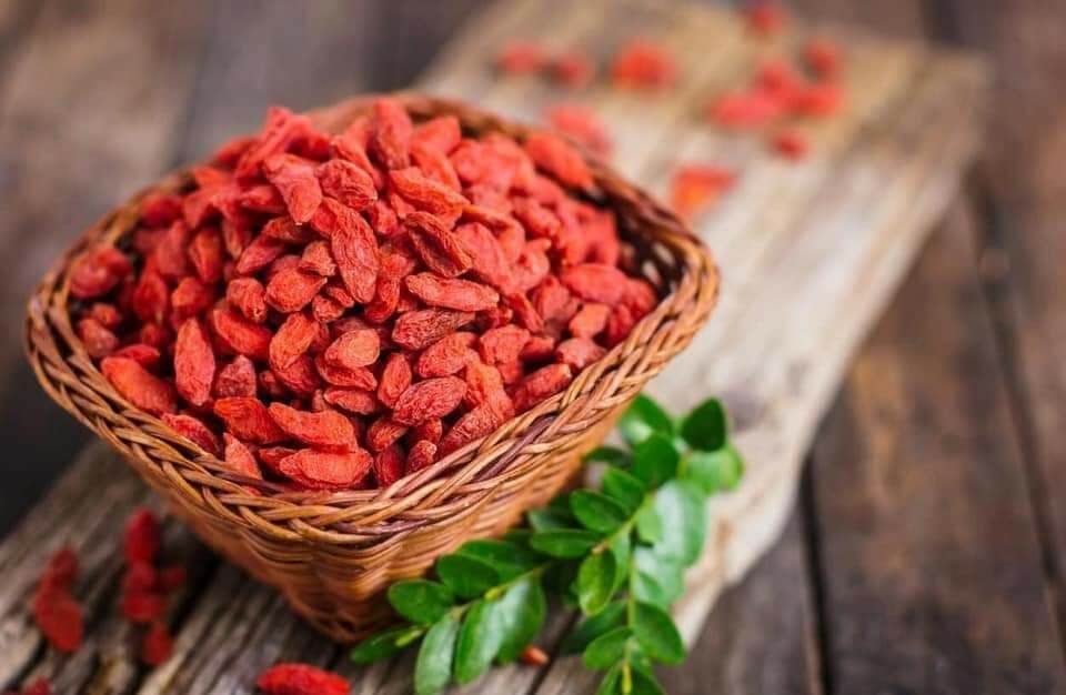 Goji berry seed -goji berry red to Ninh ha-beauty care, anti-aging, blood pressure stability, good for headphone