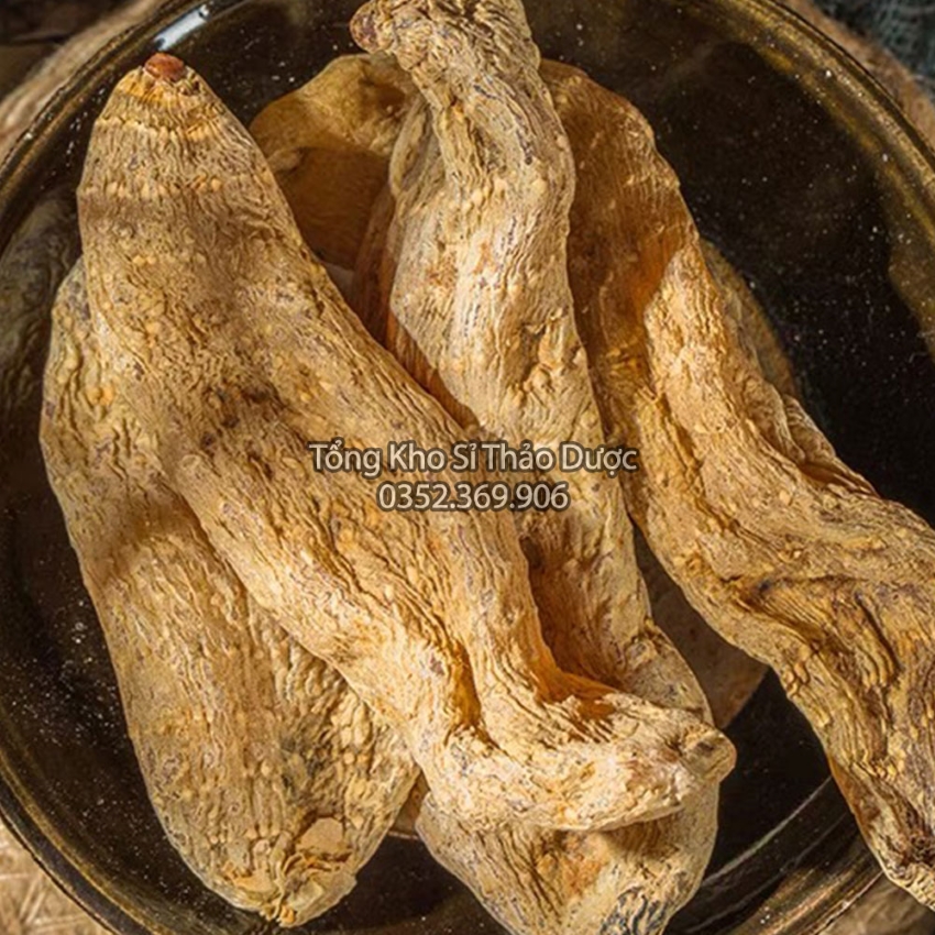 Dried Thien Ma Root 1kg (Minh Thien Ma)
