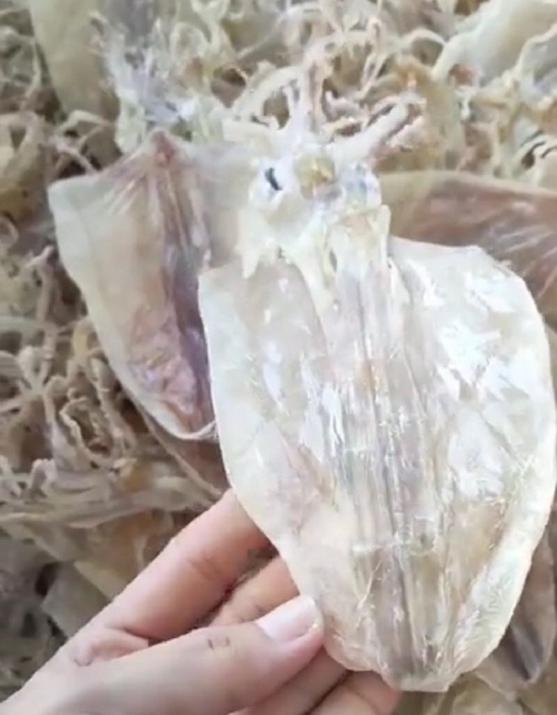 Khô mực size 70con/1kg thịt mực khô thơm ngon - ngọt 1kg, đặc sản cà mau 500gram/ 300gram/ 100gram/ 1con mực