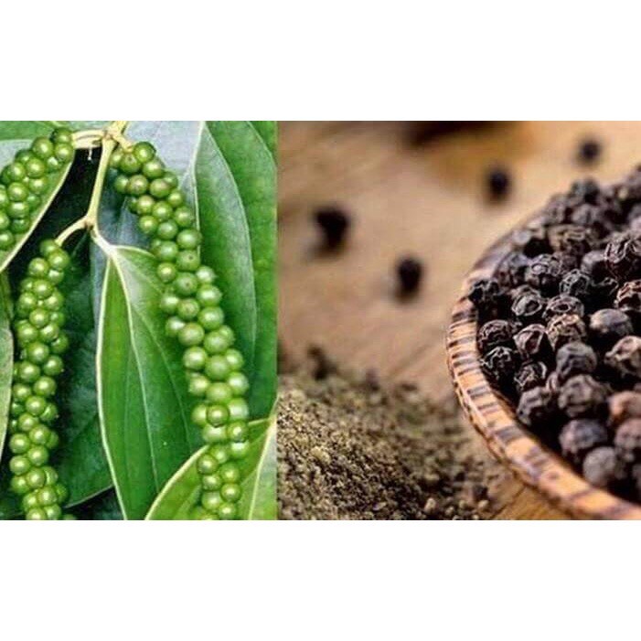 TIÊU ĐEN LOẠI CHẮC HẠT (100g)