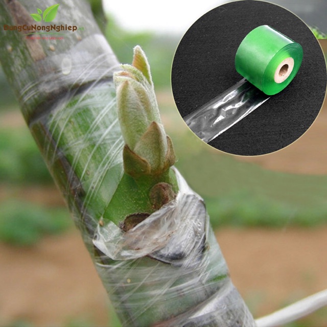 Băng nilon ghép cây chuyên dụng( cuộn xanh/ vàng)