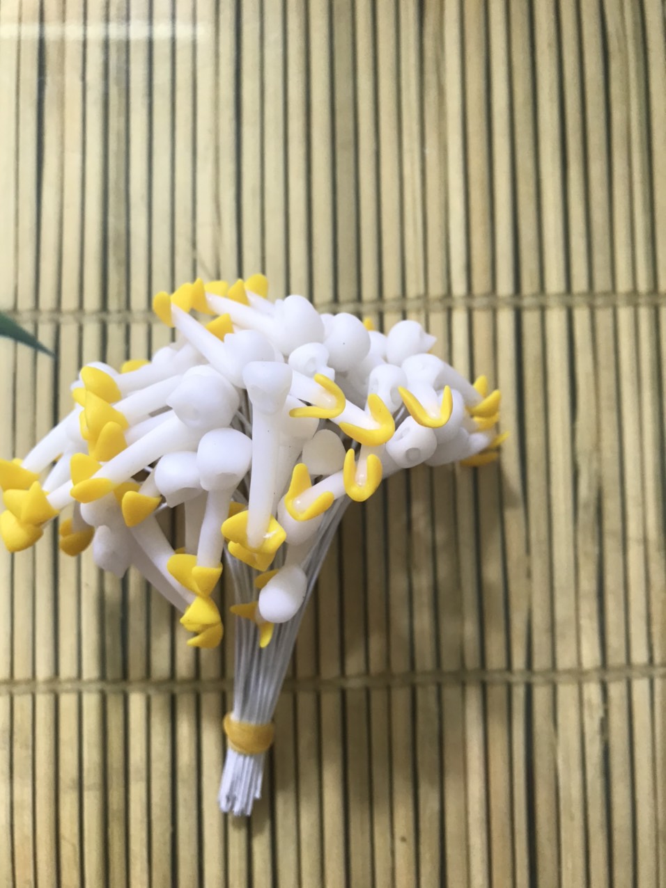 Bộ 50 nhụy hoa lan hồ điệp