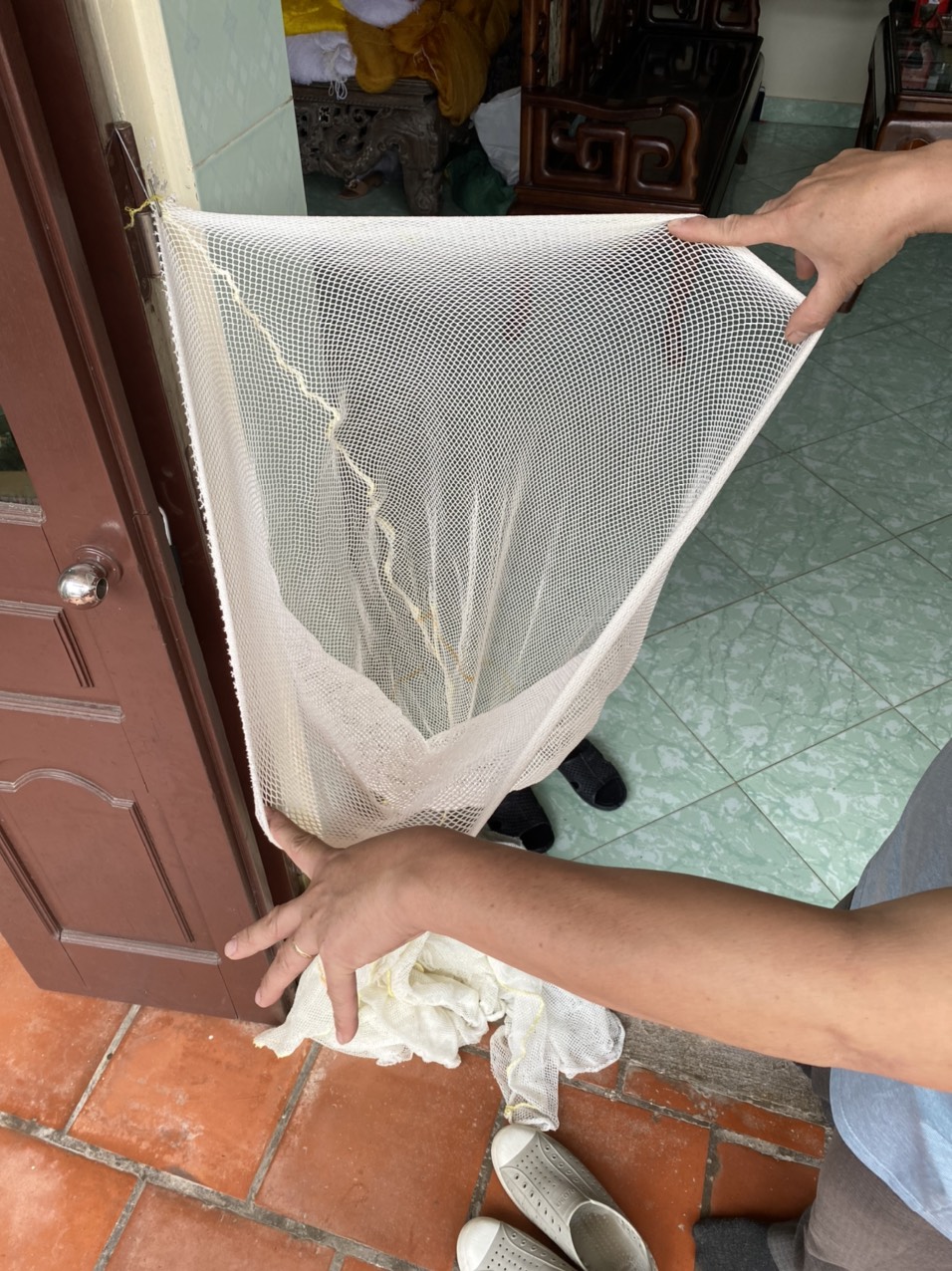 Shrimp Catching Net, Fish Catching Net (Large, Soft Thread - Frameless)