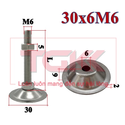 Chân đế inox 304 30x6M6
