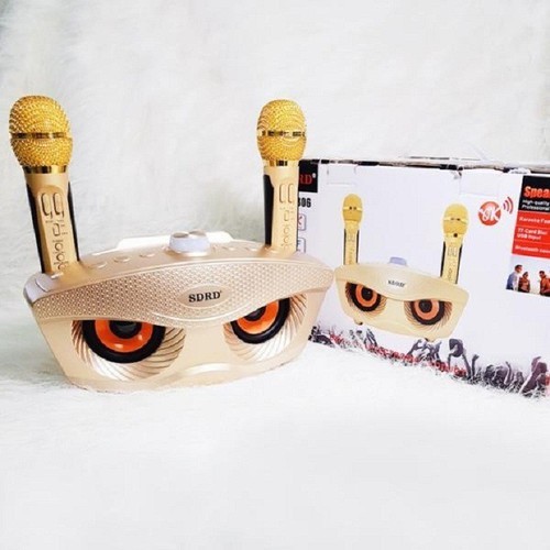 Loa Bluetooth Karaoke SDRD SD-306 - SD-306 Hát Karaoke Không Dây 2 Micro