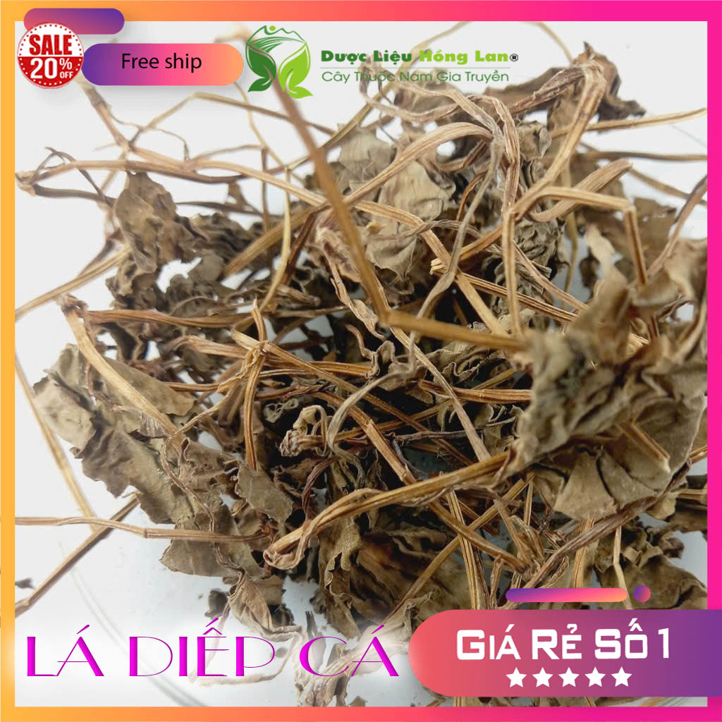 ✅ 500g Lá Diếp Cá khô (Thơm ngon, khô sạch, mới, không chất bảo quản)