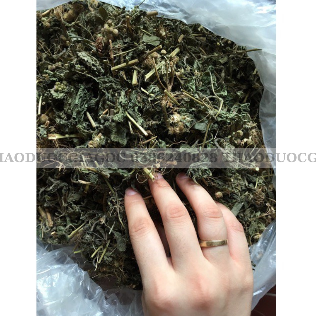 1Kg Cây Hoa Cứt Lợn phơi khô( Ngũ sắc)