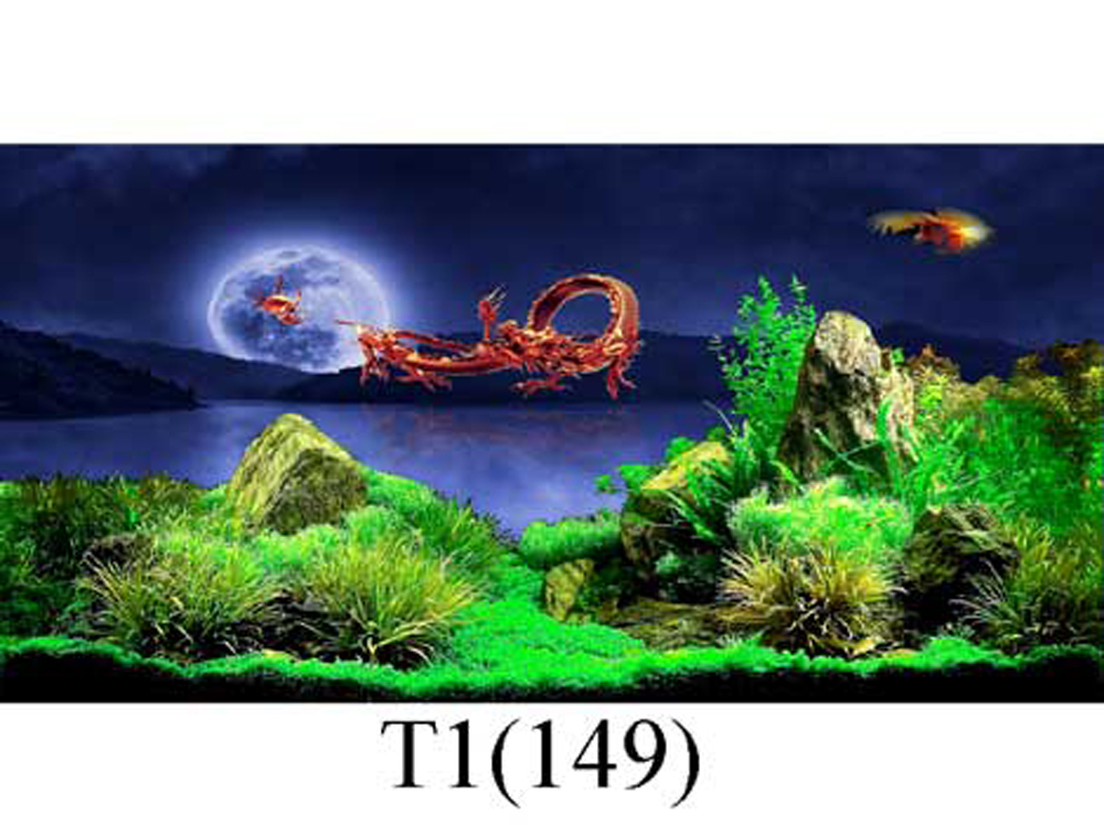 Tranh 3D dán bể cá cao cấp, có keo sẵn trên bề mặt, có thể in theo kích thước yêu cầu (40-50-60-70-80-90-100-120-150cm...)