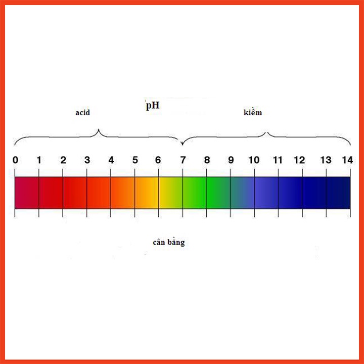 80 miếng thử giấy quỳ tím đo ph - Giấy quỳ tím thử ph 1-14