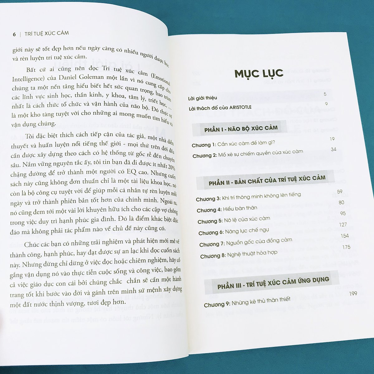 Sách Trí Tuệ Xúc Cảm- Daniel Goleman
