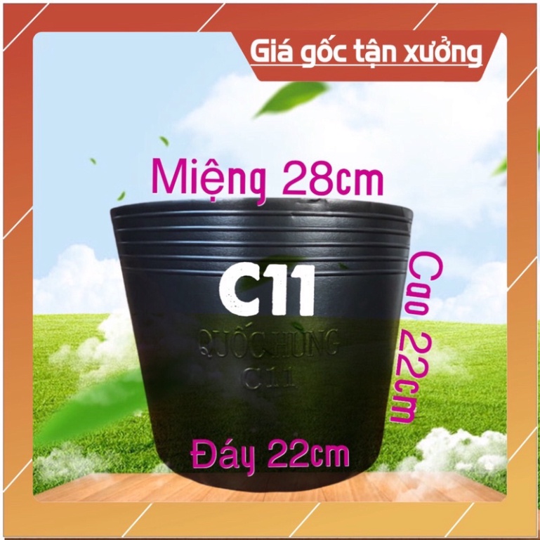 Combo 1 chậu nhựa trồng cây C11