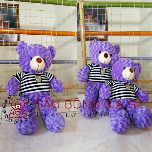 Gấu bông Teddy khổ vải 80cm màu tím cà