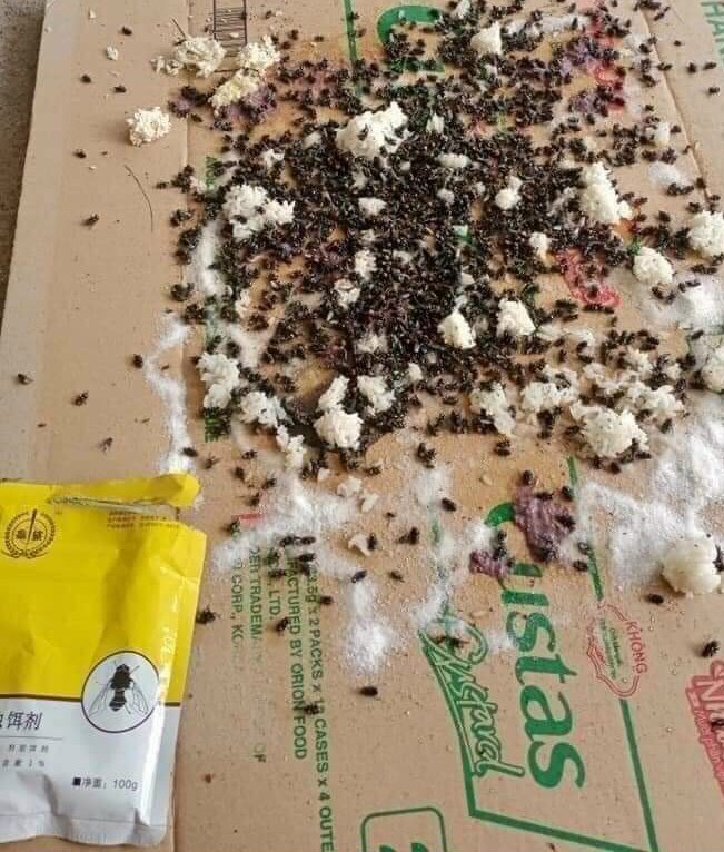 Thuốc diệt ruồi muỗi kiến gián (100g/gói)