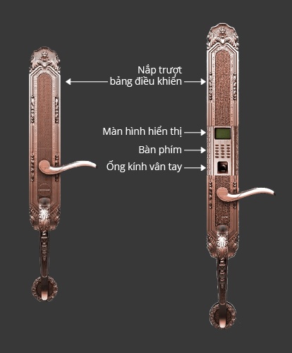 [HCM]KHÓA CỬA VÂN TAY CỔ ĐIỂN DESSMANN K5
