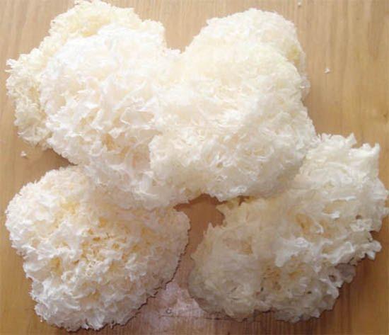 Nấm tuyết (500gr)