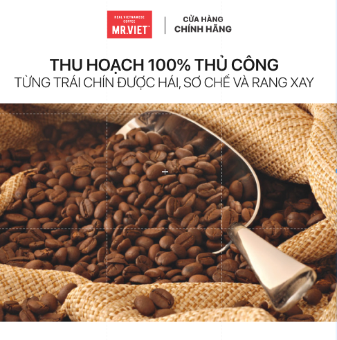 50 Packages of Good Morning Coffee - Brand Mr.Viet (Mr.Viet Good Morning Vietnam - Ground Coffee & Beans Coffee)