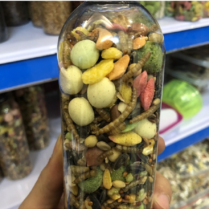 đồ ăn vặt cho hamster
