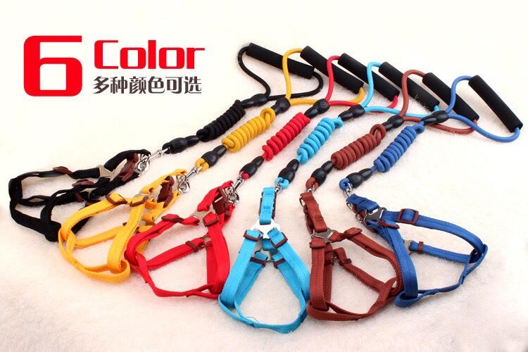 [HCM]Dây dắt 3 in 1 ( Dây dắt Vòng cổ Đai bụng) cho thú cưng