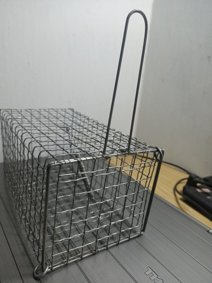 lồng bẫy sốc, chuột
