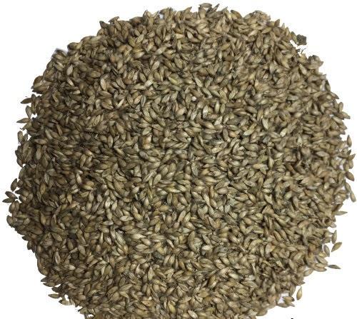 Hạt giống cỏ RUZI Cỏ sả Chịu giẫm đạp -100gr