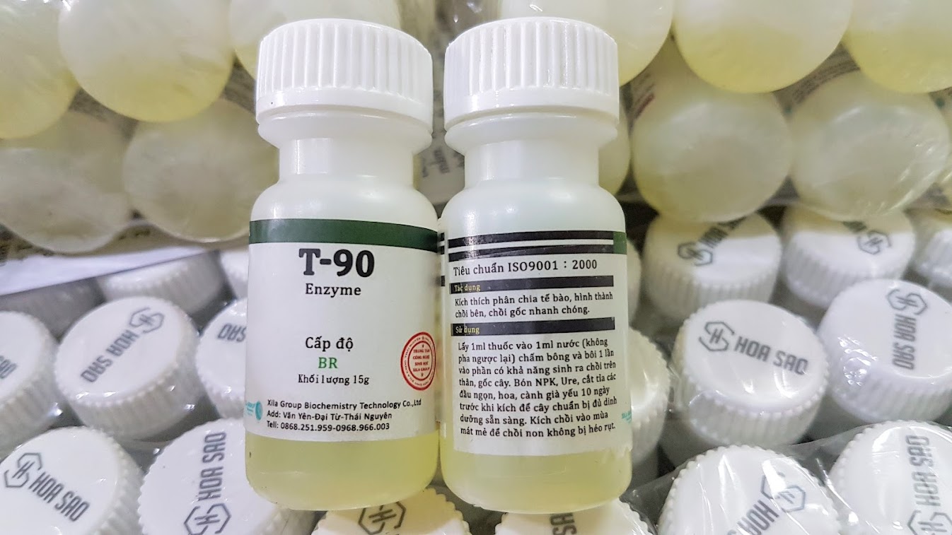 Enzyme T90 Siêu Kích Mầm. (chai=15g)