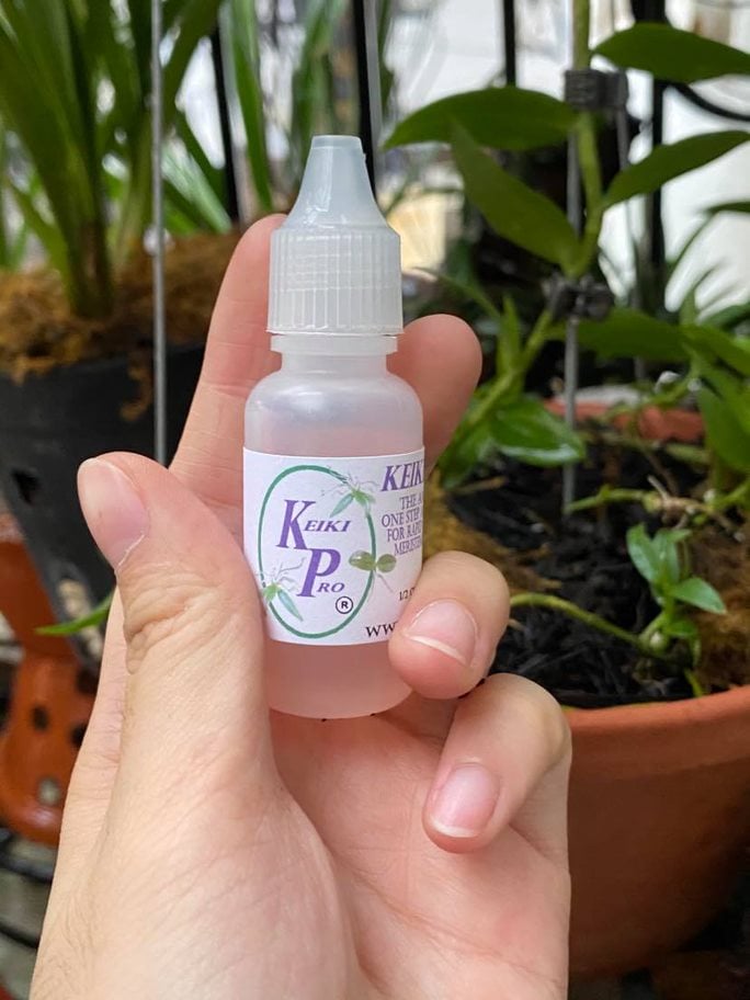 Kích mầm chồi Keiki Pro USA (Mỹ) - 15ml