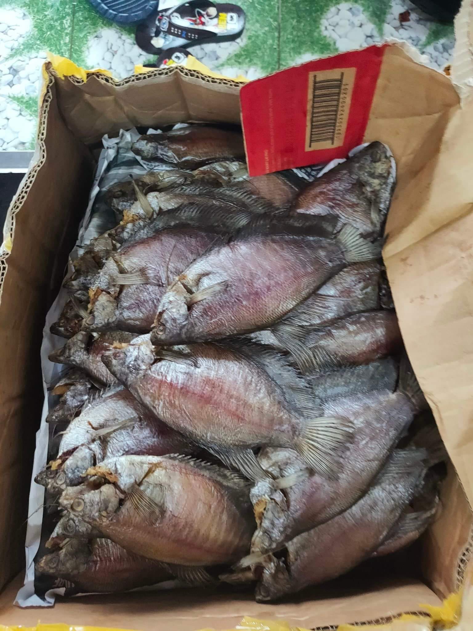 Khô cá Bổi 8 con/kg