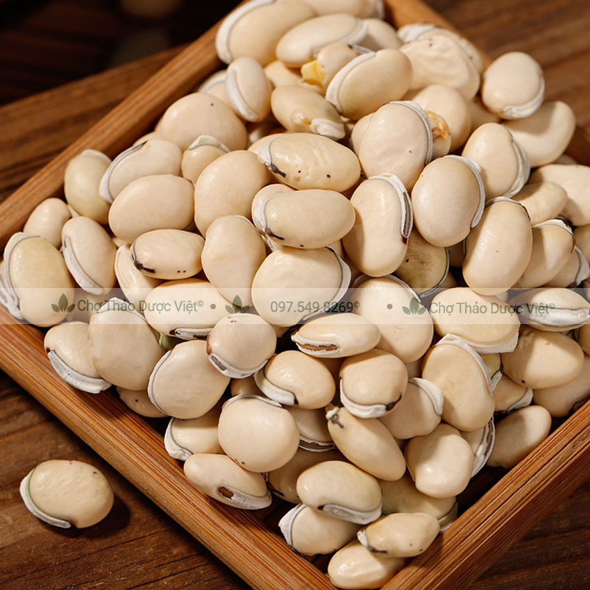 Bạch Biển Đậu 100g, đậu ván trắng, đỗ ván, khô, sạch, đẹp - Chợ Thảo Dược Việt