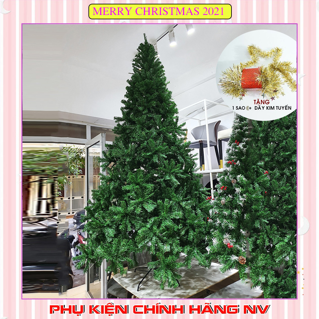 Cây thông noel đầu tròn 3m màu xanh trang trí giáng sinh cho phòng ngủ tặng kèm dây kim tuyến và ngôi sao đỉnh