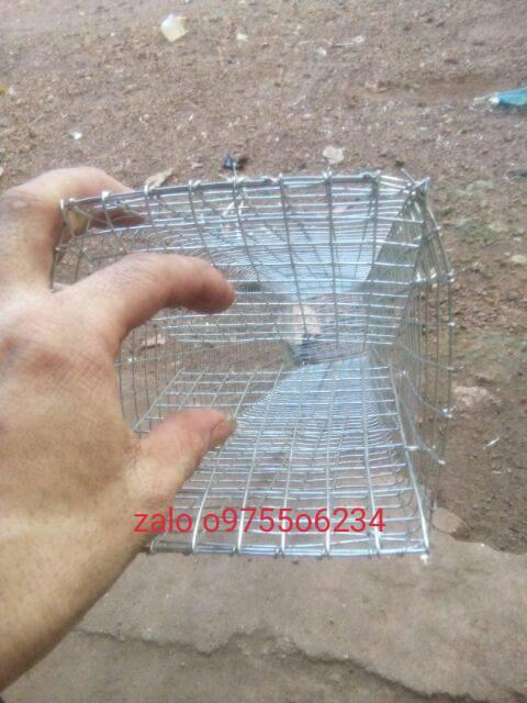 lồng bẫy rắn 2 hom dài 60cm