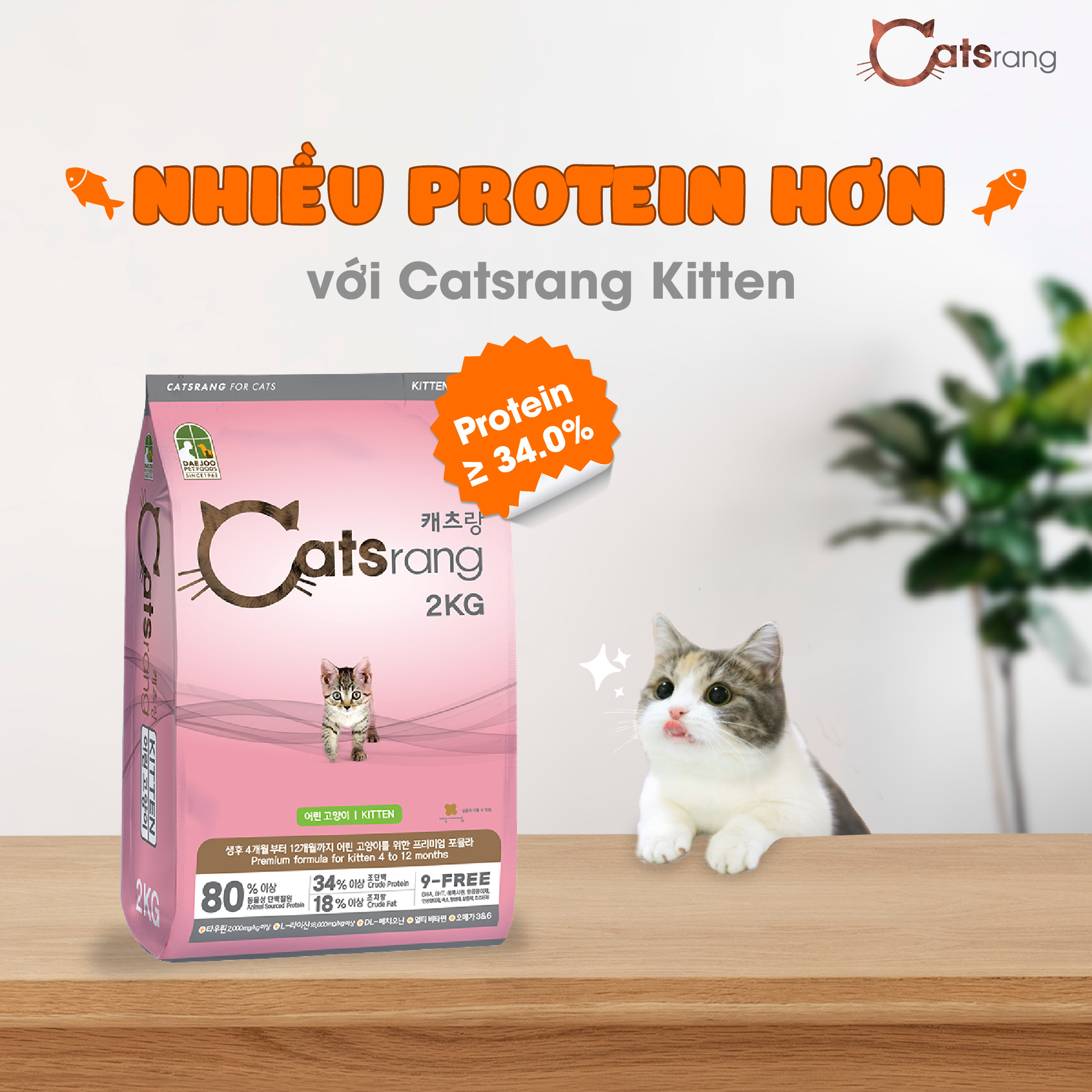 (Mua 1 TẶNG 2 HÀNG MẪU) Catsrang - Thức ăn hạt cho mèo nhỏ CATSRANG Kitten