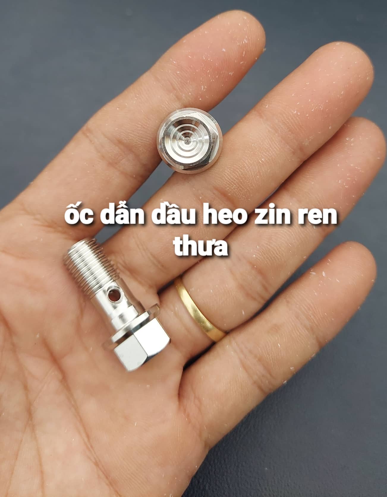 Ốc Salaya trụ thái 10ly 23 pas heo yamaha và ốc dẫn dầu ốc heo dầu giá 2 con