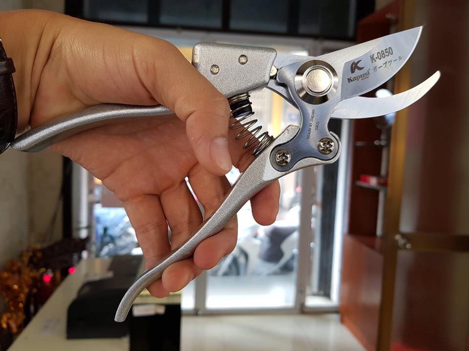 Kéo cắt cành Nhật Bản mỏ cong sắc bén ( LOẠI TỐT ) K223