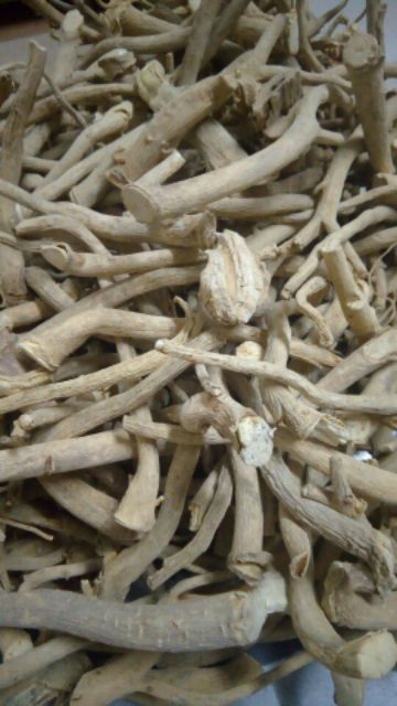 Rễ Đinh Lăng Nếp Khô 500gr