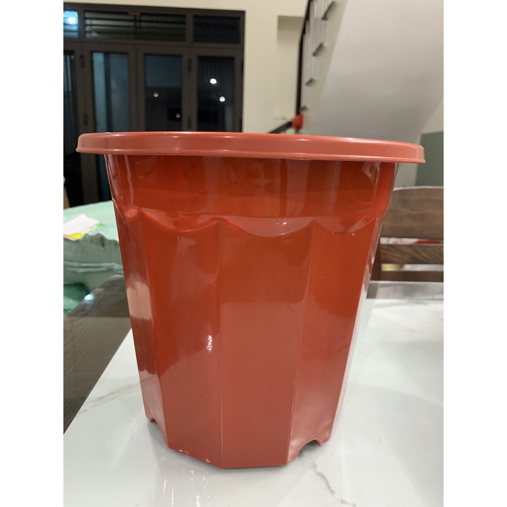 Chậu nhựa trồng cây, chậu ươm cây màu nâu E280- hàng công ty dày đẹp KT 23x20cm
