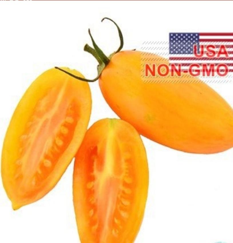 Hạt Giống Cà Chua - Đỏ Mặt (Solanum lycopersicum)