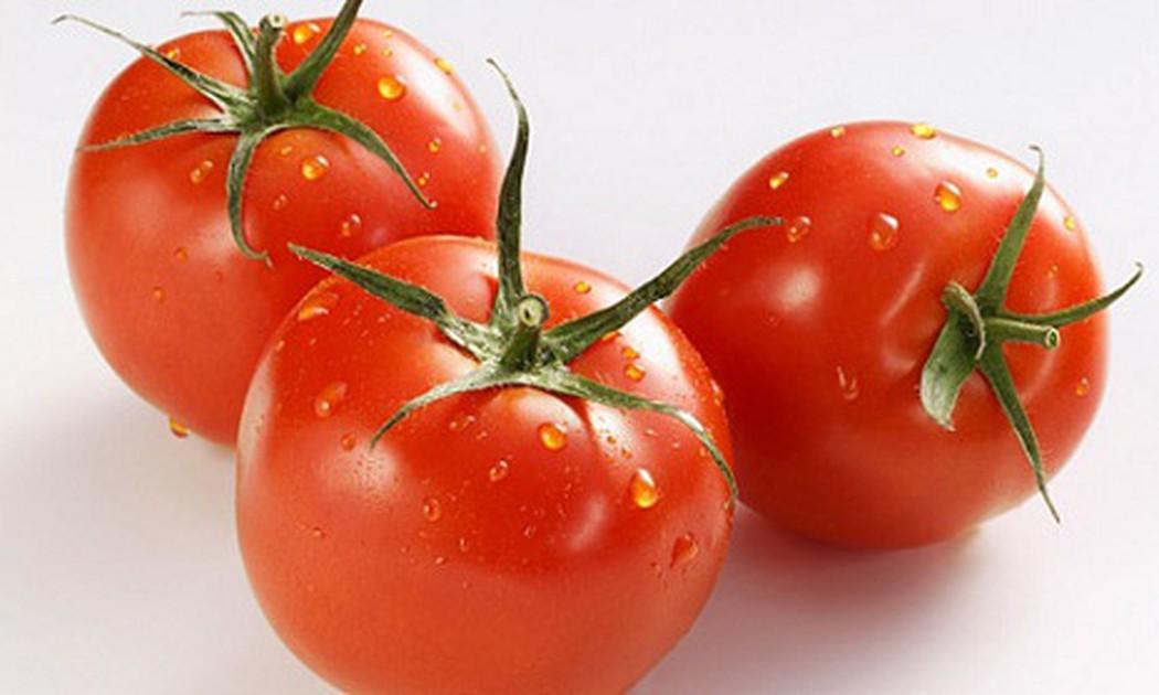 Hạt giống cà chua chịu nhiệt Ấn Độ